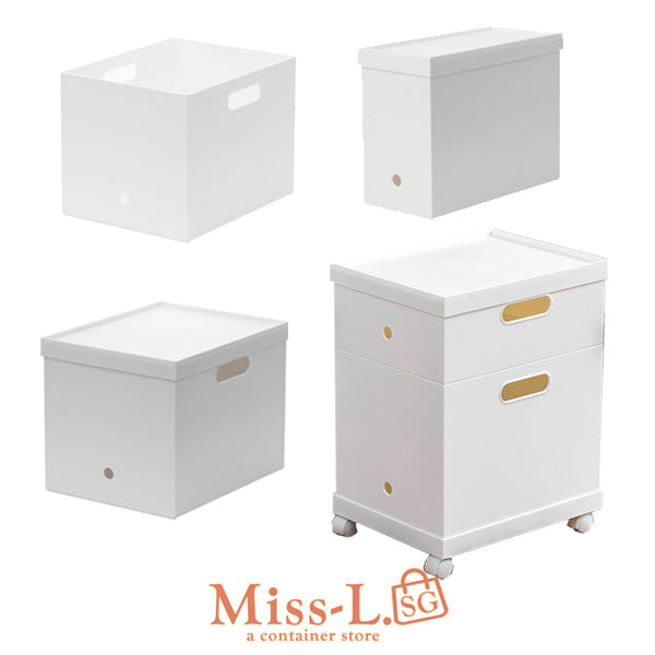 LEN-Stackable Storage Box File Box Standard A4